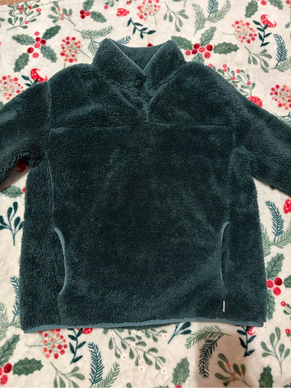 Eddie Bauer Plush Half-Snap Sherpa Pullover - Forest Green